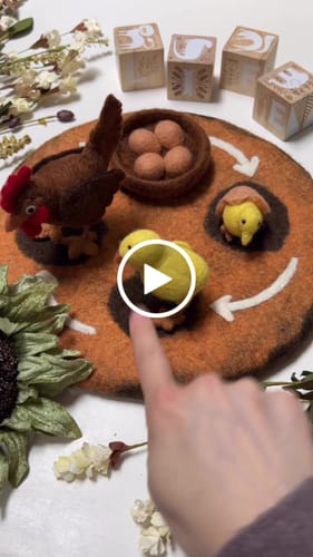 Customer video review of Felt Life Stages of a Dinosaur Brontosaurus