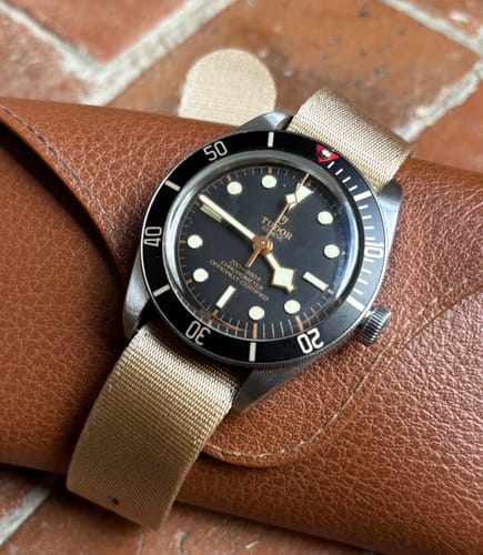 Customer photo review of Beige Nylon Watch Strap