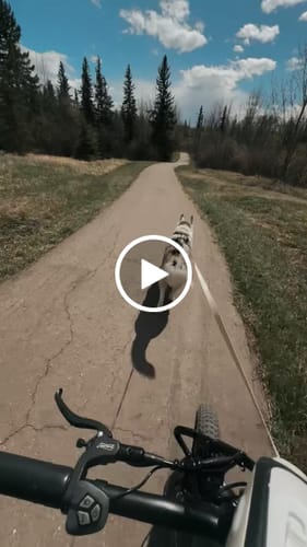 Customer video review of Wallke H9 AWD Ebike (Canada Only)