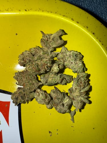 Customer photo review of Grape Cream THCA Flower Smalls
