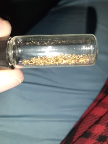 Customer photo review of 2 Lb. JACKPOT PAYDIRT™ Gold Paydirt Unsearched