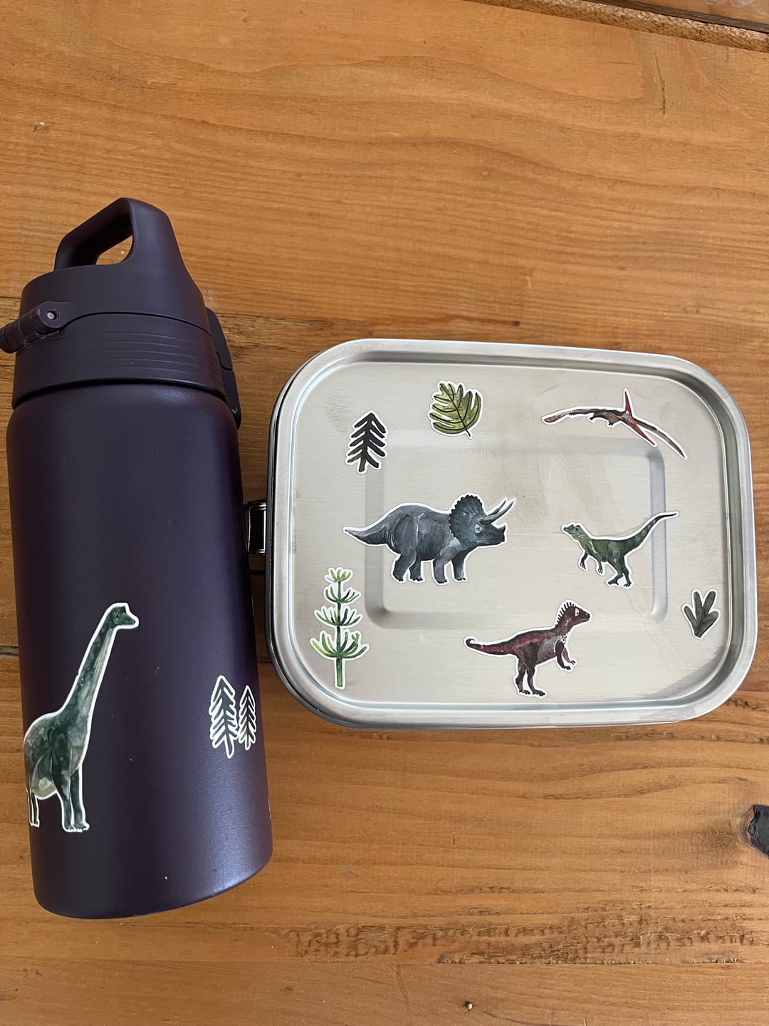 Customer photo review of spülmaschinenfeste Sticker "Dinos"