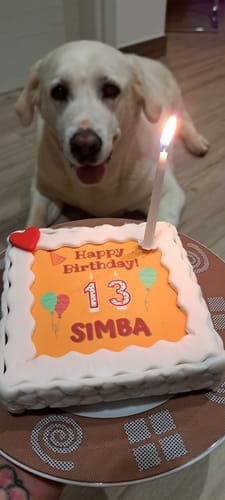 Customer photo review of Torta Per Cani Happy Birthday Personalizzabile Con NOME E ANNI