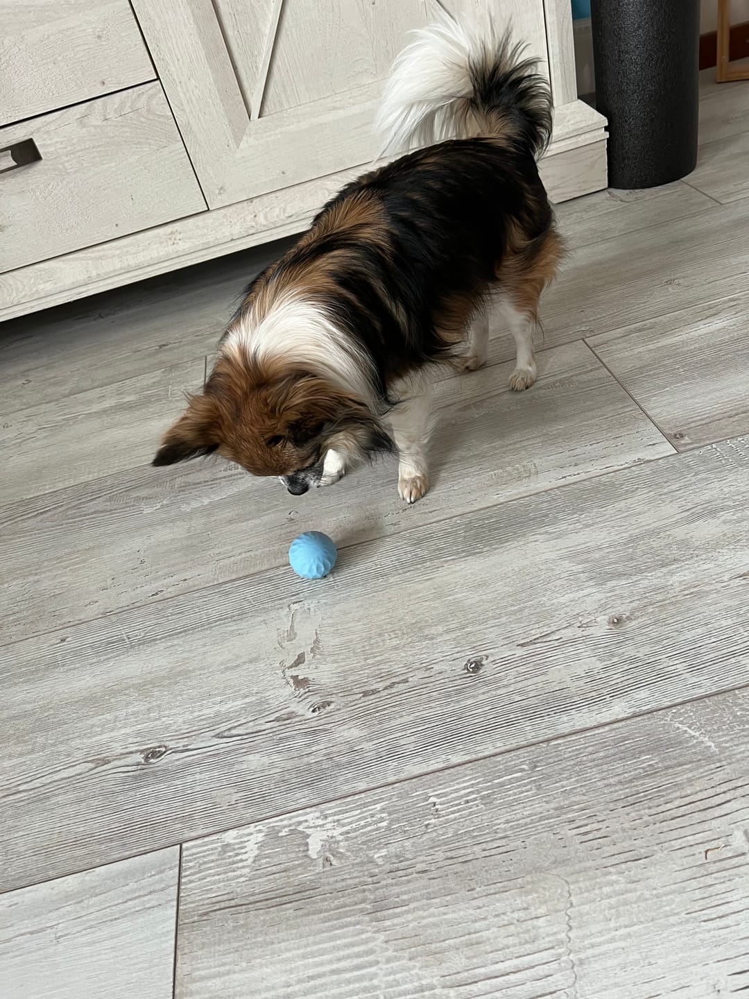 Customer photo review of POWER BALL 2.0