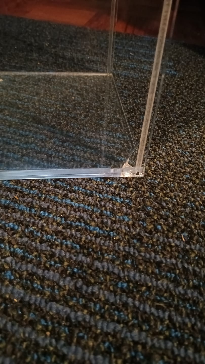 Customer photo review of Versatile Acrylic Display Case with Slide Back and Size Options
