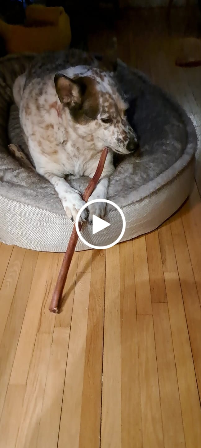 Customer video review of Vrac Nature's Own - Buffalo Cheek Roll / Joues de Buffalo pour chien