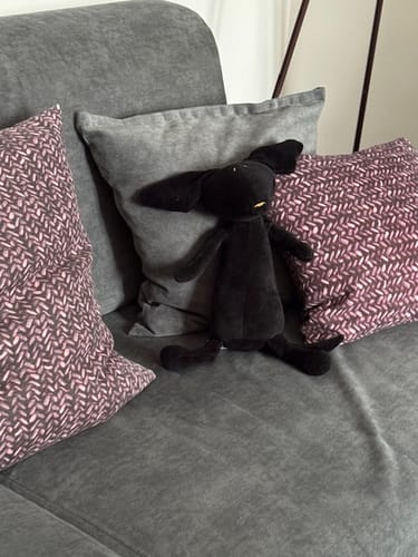 Customer photo review of SCOTT, LE TECKEL - GRAND