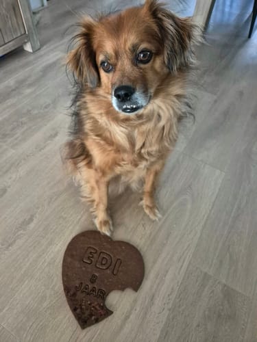 undefined review of Mega koek voor de verjaardag van jouw hond image 1 out of 3