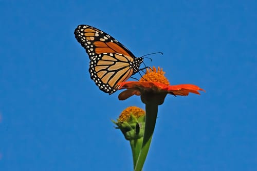 Customer photo review of 16x20 Gallery Wrapped Prints