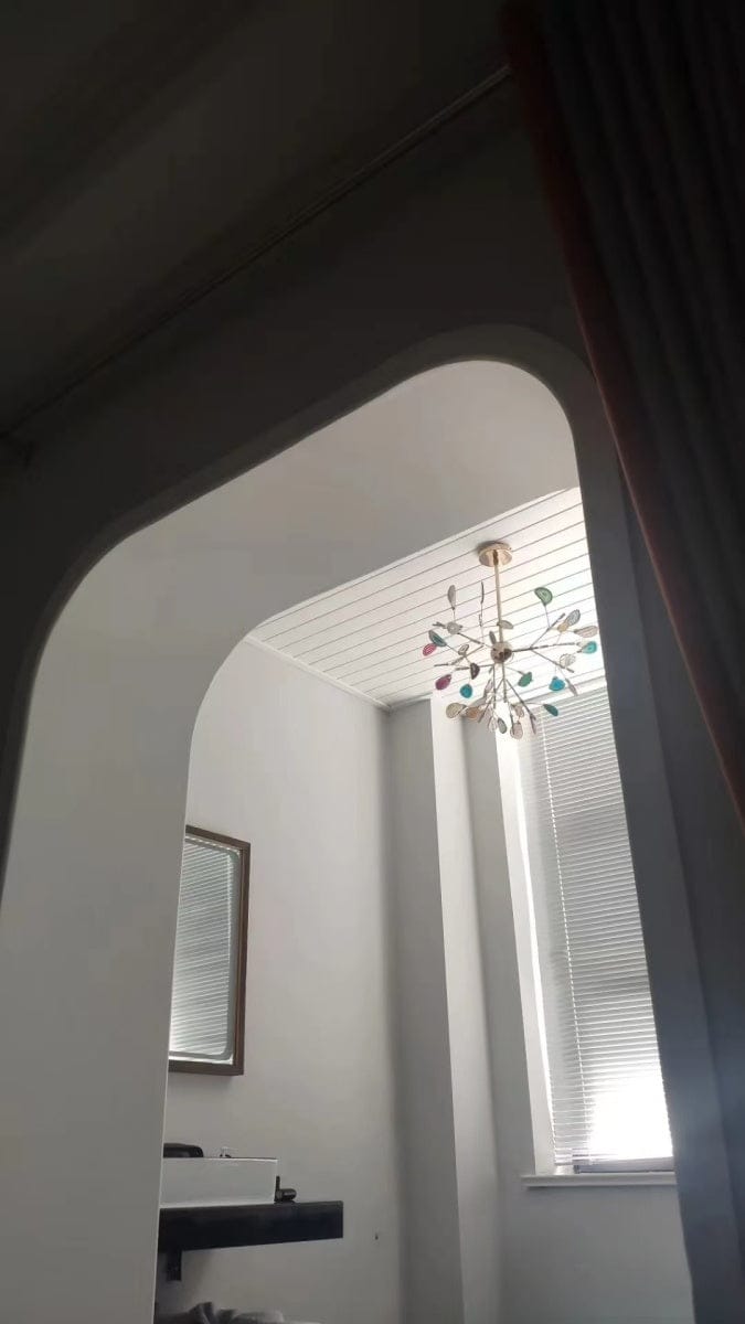 Customer photo review of Heracleum Colorful Agate Branch Chandelier