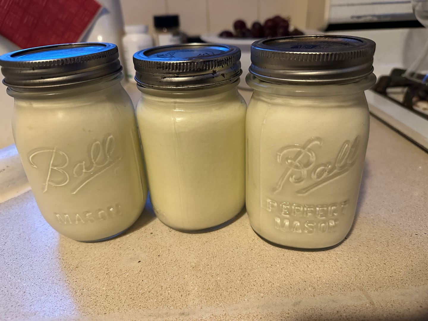Customer photo review of YOGURT STARTER - Powder