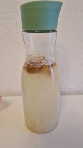 Customer photo review of BIO Wasserkefir-Kickstart: Potente Japankristalle (20g)