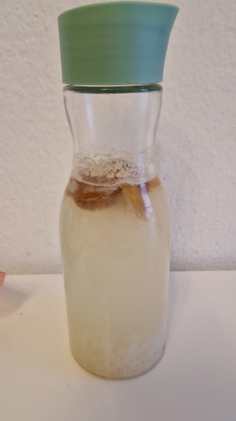 Customer photo review of BIO Wasserkefir-Kickstart: Potente Japankristalle (20g)