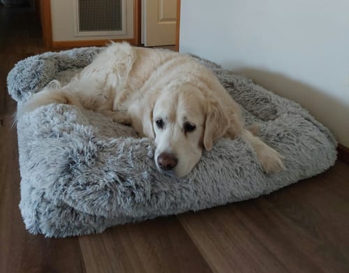 Customer photo review of PaWz Premium Pet Orthopaedic Bed