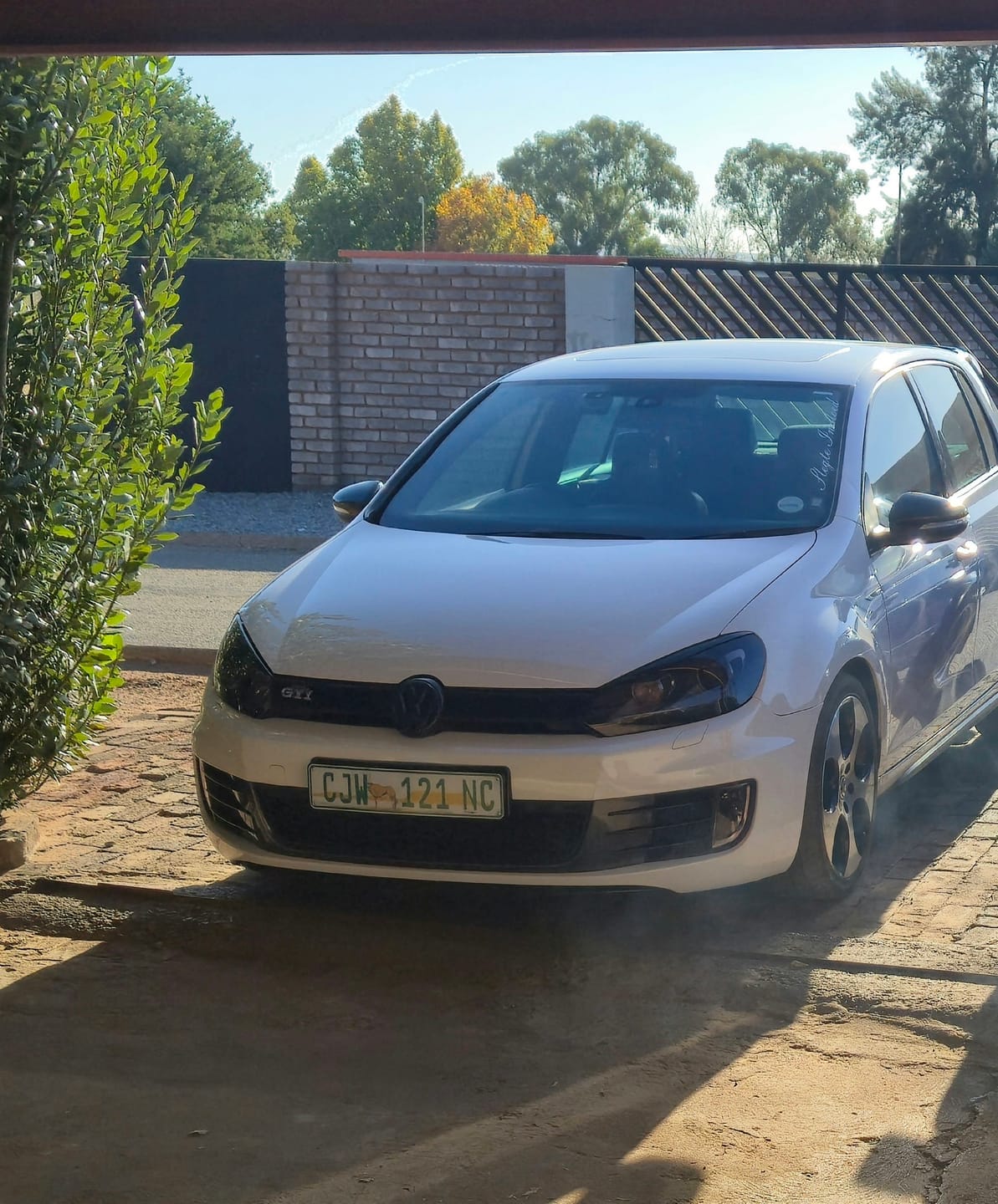 Customer photo review of Graphene Ceramic 12 Month - Spray Coating