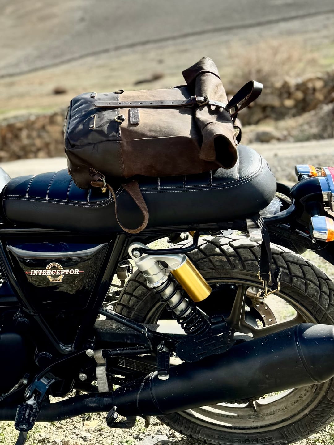 Customer photo review of backpack pannier - classic roll top