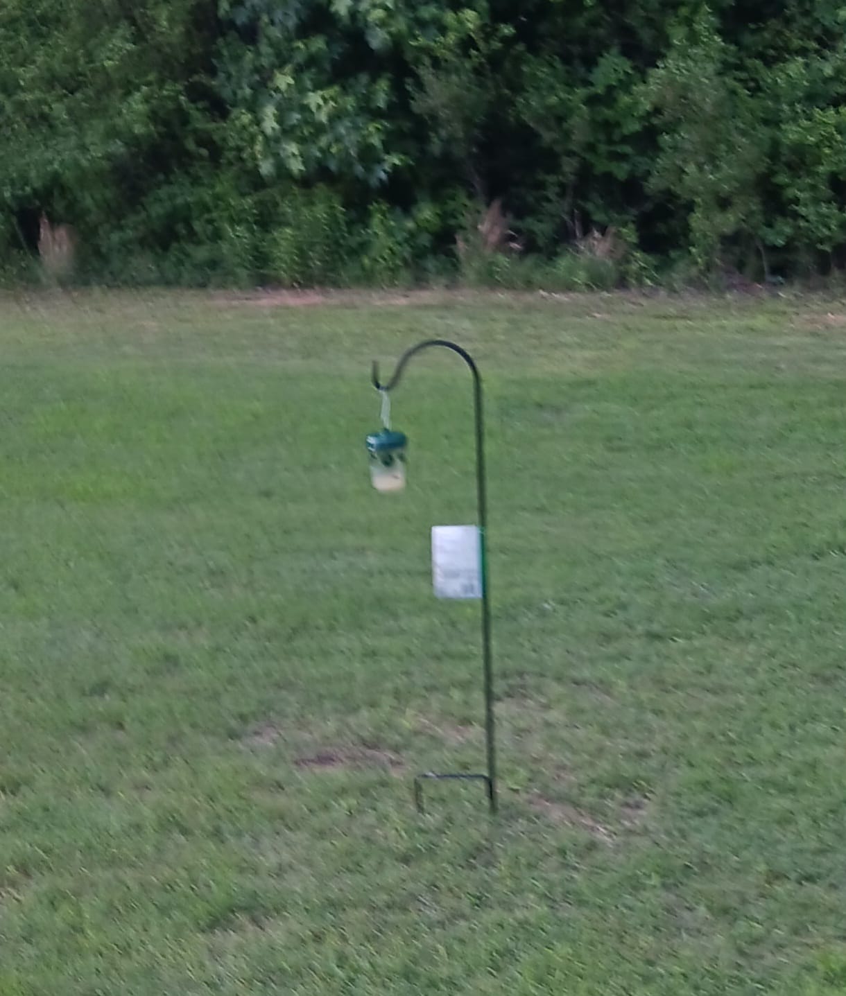 Customer photo review of Mosquito TNT Refill MEGA Pack - buy 2 get 1 FREE offer!