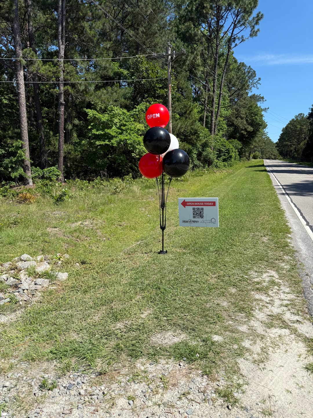 Customer photo review of DuraBalloon® 5-Balloon Cluster Pole Kit