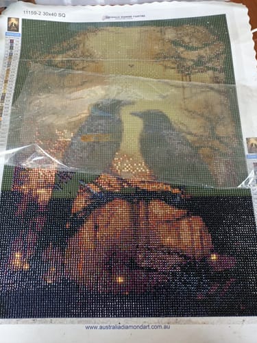 Customer photo review of Custom Diamond Painting