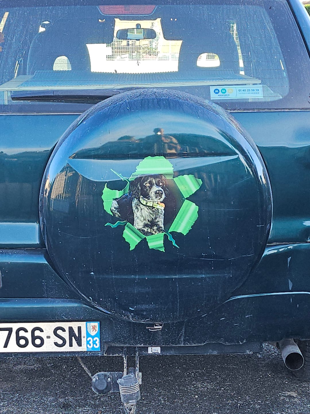 Customer photo review of Photo animal curieux - Autocollant pour voiture personnalisé