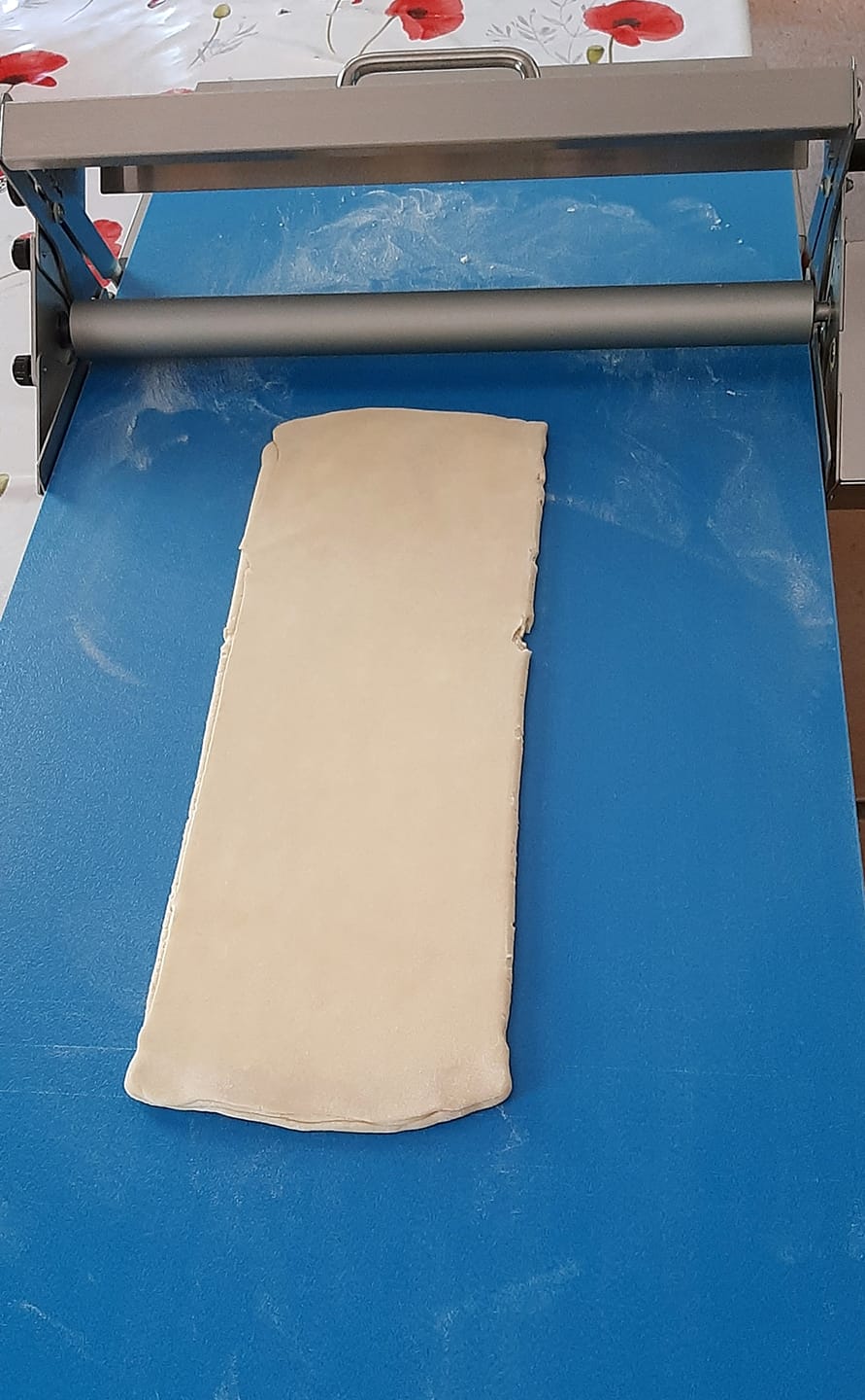 Customer photo review of Laminoir à plateau Manuel GM RS201