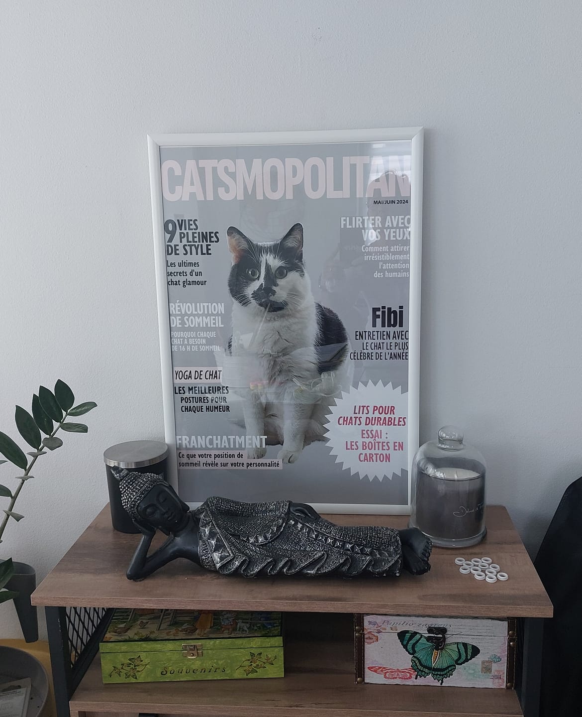 Customer photo review of Catsmopolitan - Poster personnalisé