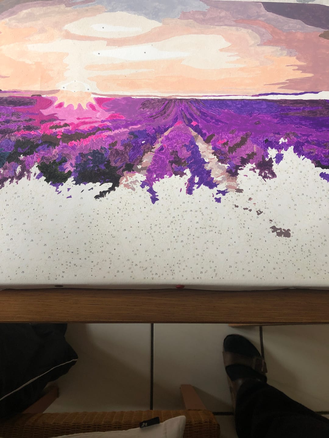 Customer photo review of Malen nach Zahlen - Lavendel Blumenfeld