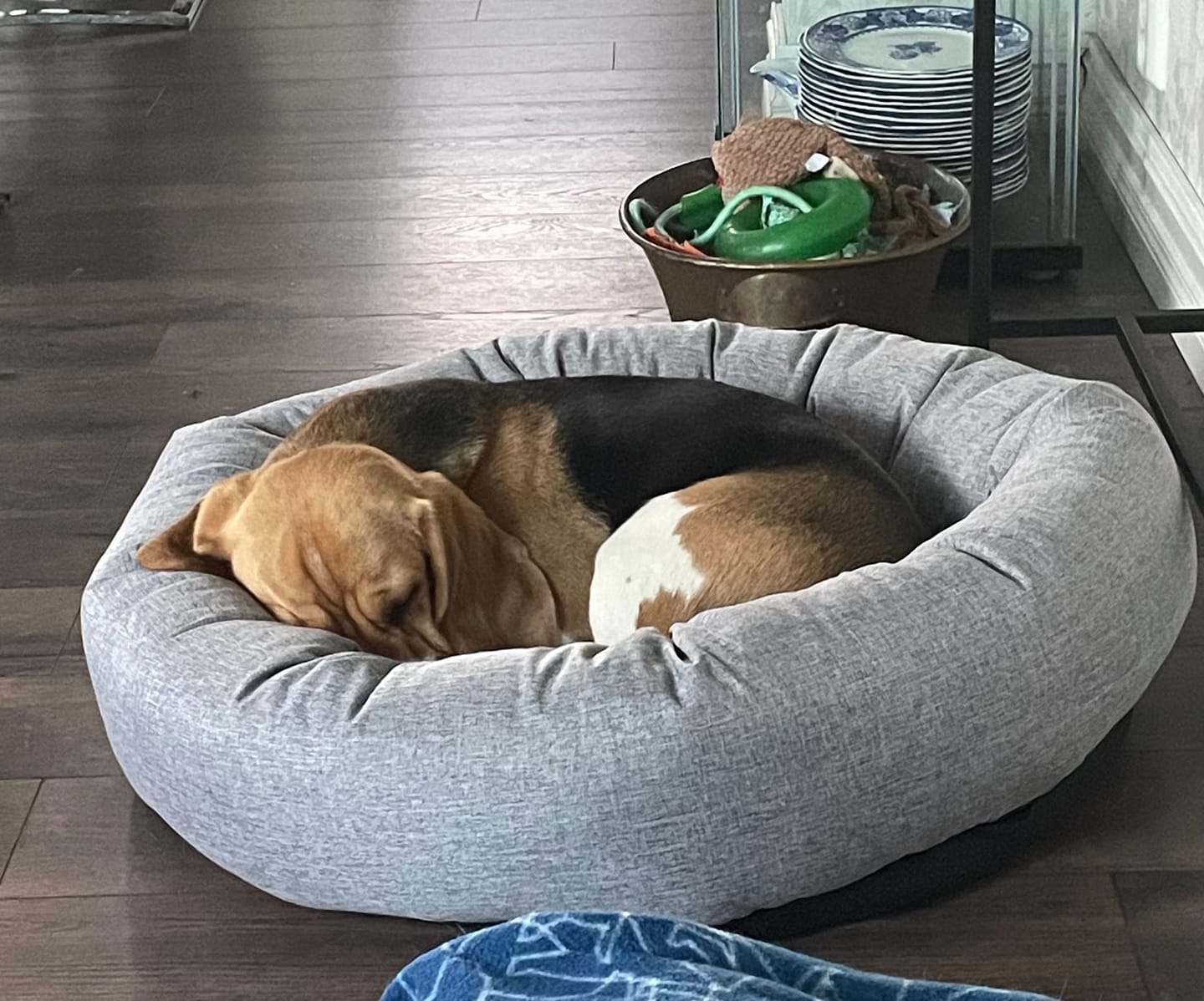 Customer photo review of CalmBed - Pälsfritt Överdrag