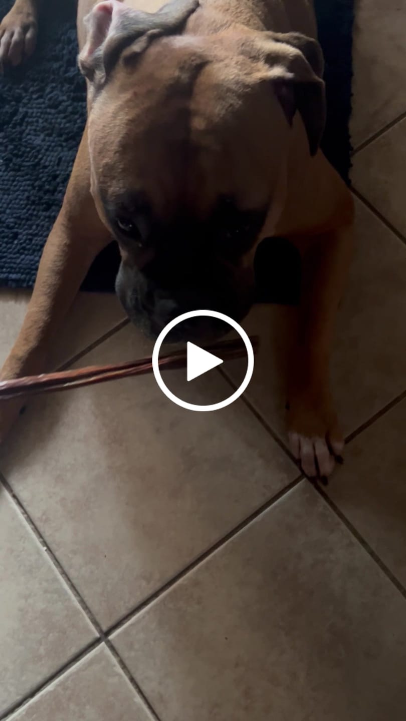 Customer video review of 12 Inch Beef Jerky Stick