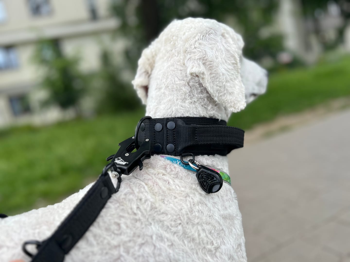 Customer photo review of Smycz przepinana dla psa - Multi Leash Black Edition Czarna