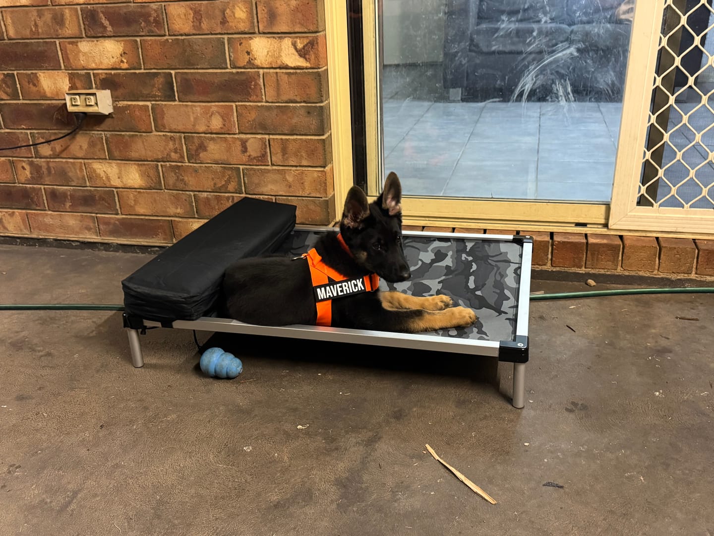 Customer photo review of PaWz Aluminium Dog Bed Frame – Metal Base for Pets
