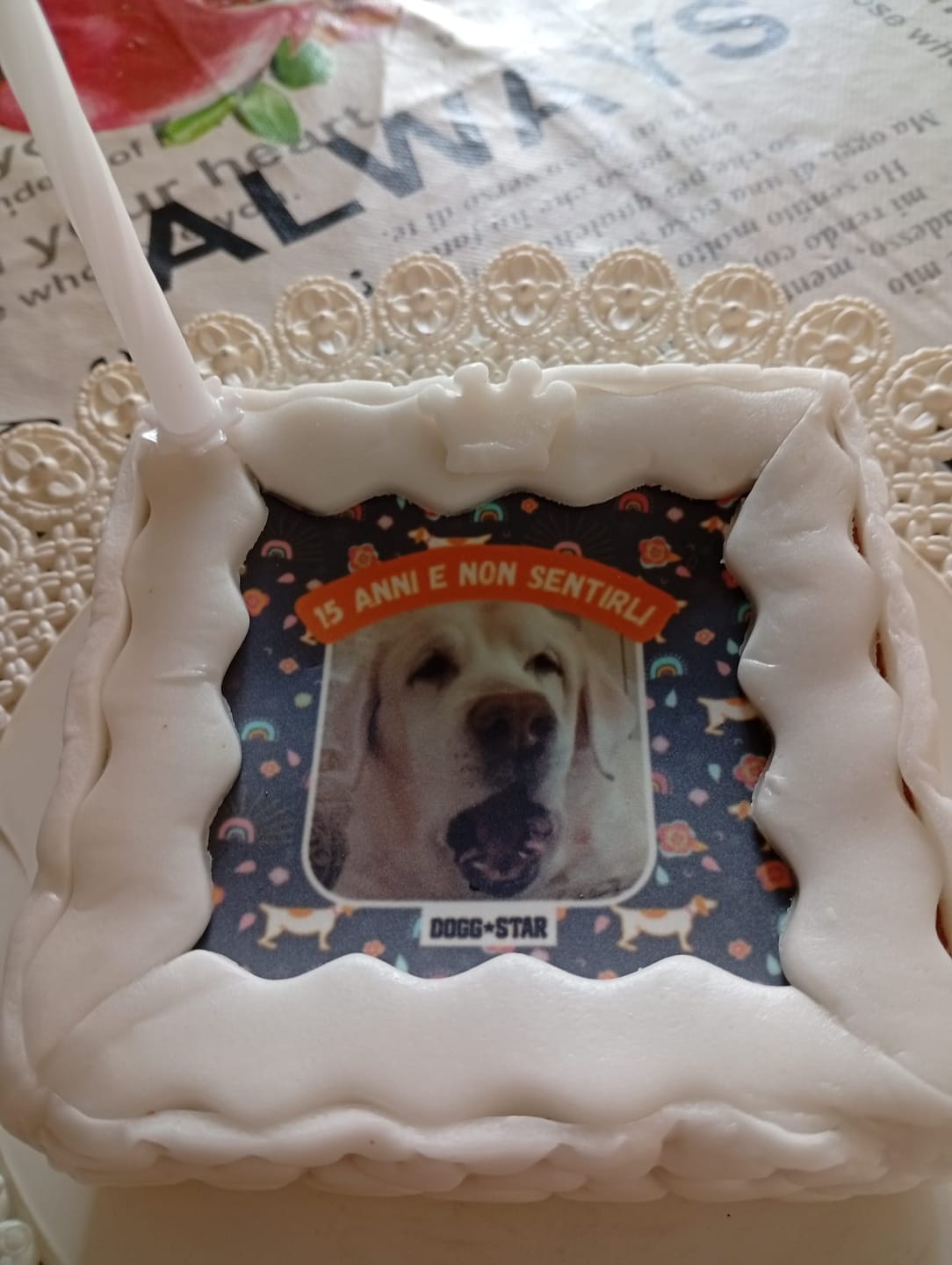 Customer photo review of Fotogenica 2 Torta Per Cani con Fotografia e Messaggio