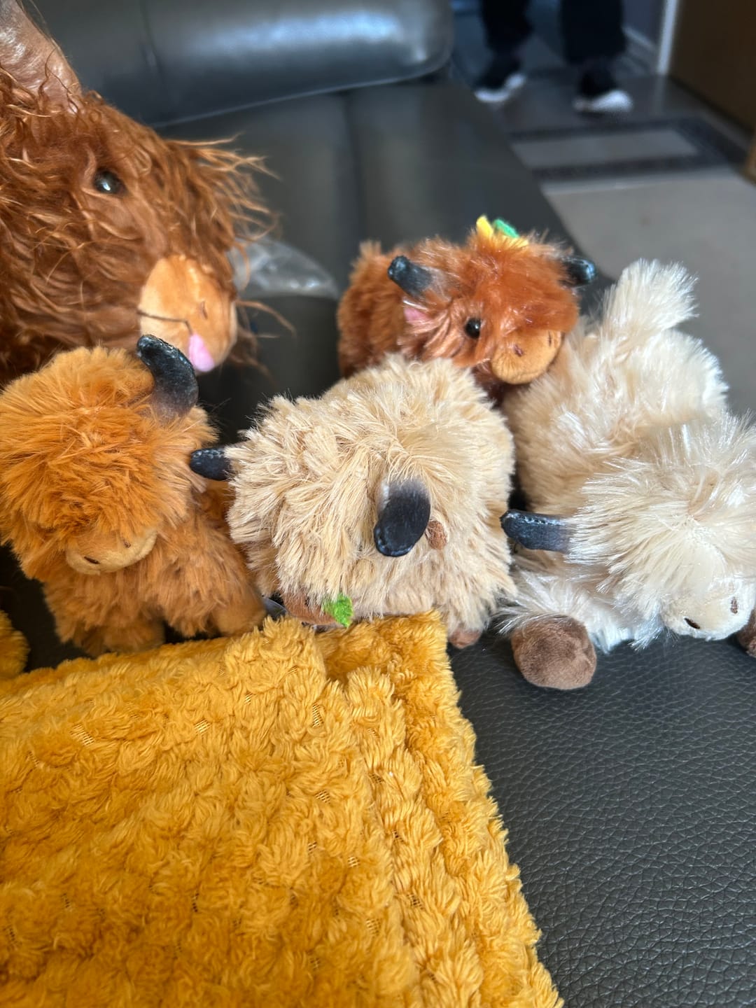 Customer photo review of Scottish Highland Cow Cattle Stuffed Animal with 4 Calves (Easter Sale 30% Off )