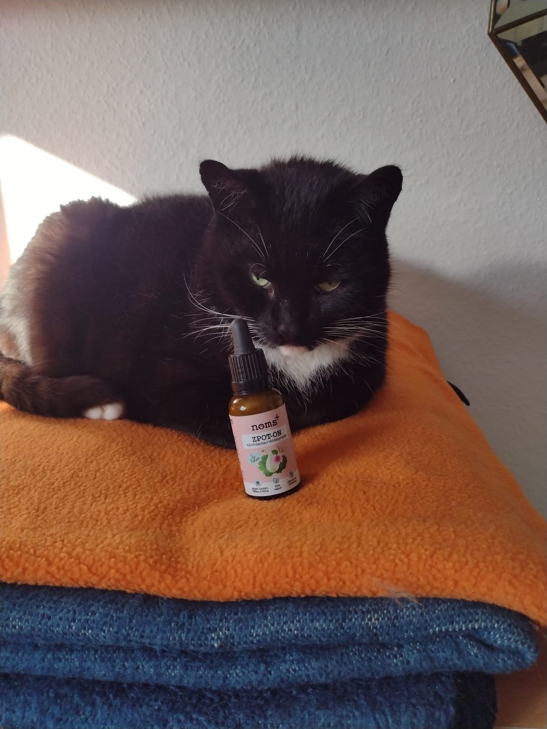 Customer photo review of Zpot-on für Katzen gegen Zecken, Flöhe, Milben & Mücken [Jahresvorrat]