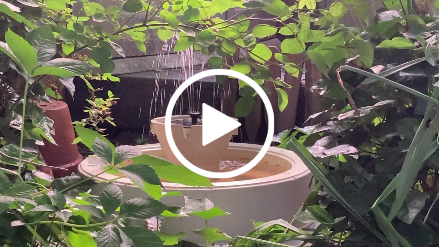 Customer video review of Lago 22.5" Instant Pond Fountain (Pre-Order) Ships Out March 2025
