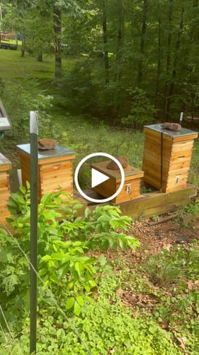 Customer video review of BeeCastle Logo Free 8 Frame Beeswax Coated Unassembled Beehive:2 Deep Cedar Wood Bee Boxes, 1 Medium Cedar Wood Bee Box for Superior Beekeeping.