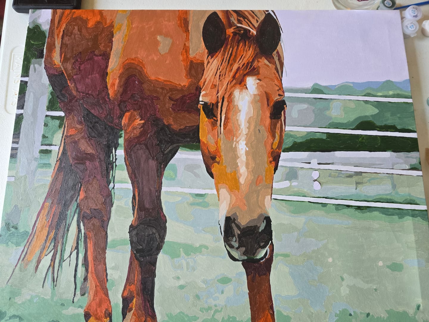 Customer photo review of Paint your own Photo - Custom Paint by Number