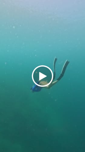 Customer video review of Luna Long Sleeve Swimwear