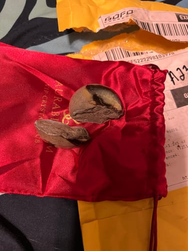 Customer photo review of VIP Crystal Club ~ Monthly Crystal Tester