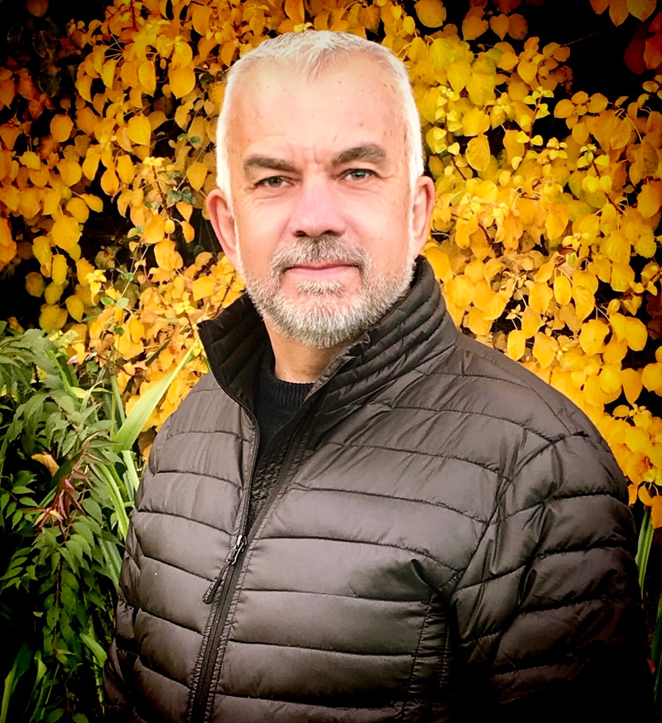 Customer photo review of Daily AI News and Views