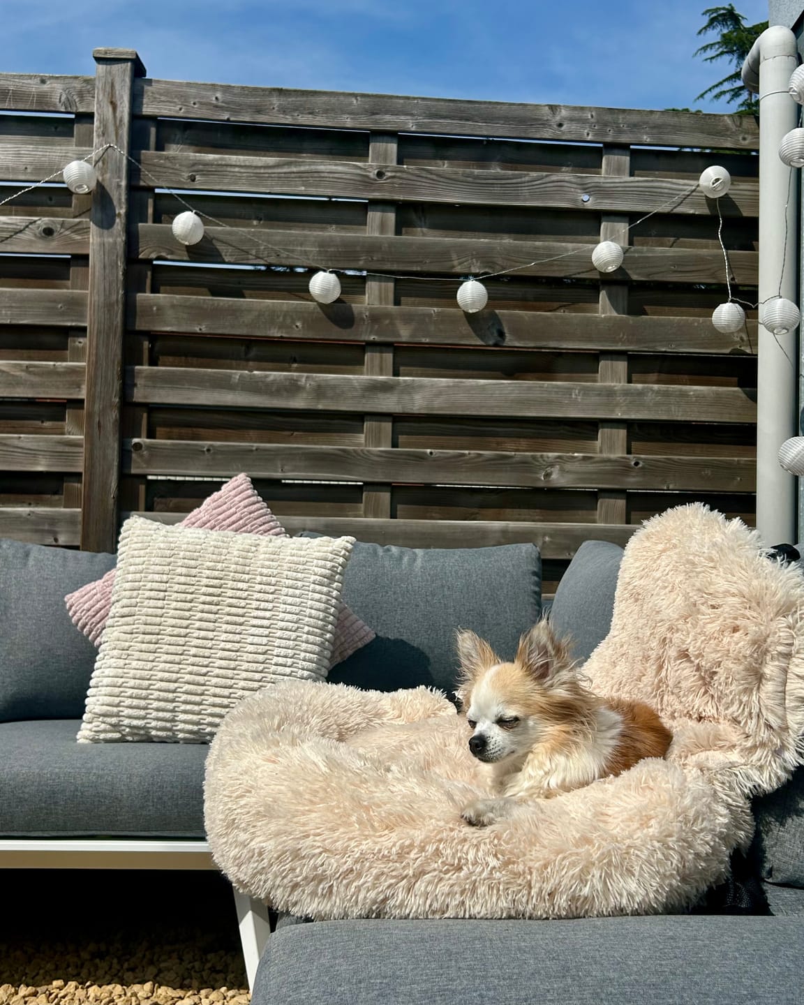 Customer photo review of Fluffy Orthopedische Autostoel (2-in-1)