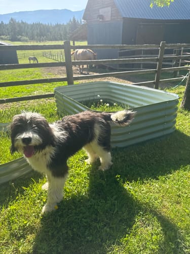 Customer photo review of 8" Tall Modular 9 in 1