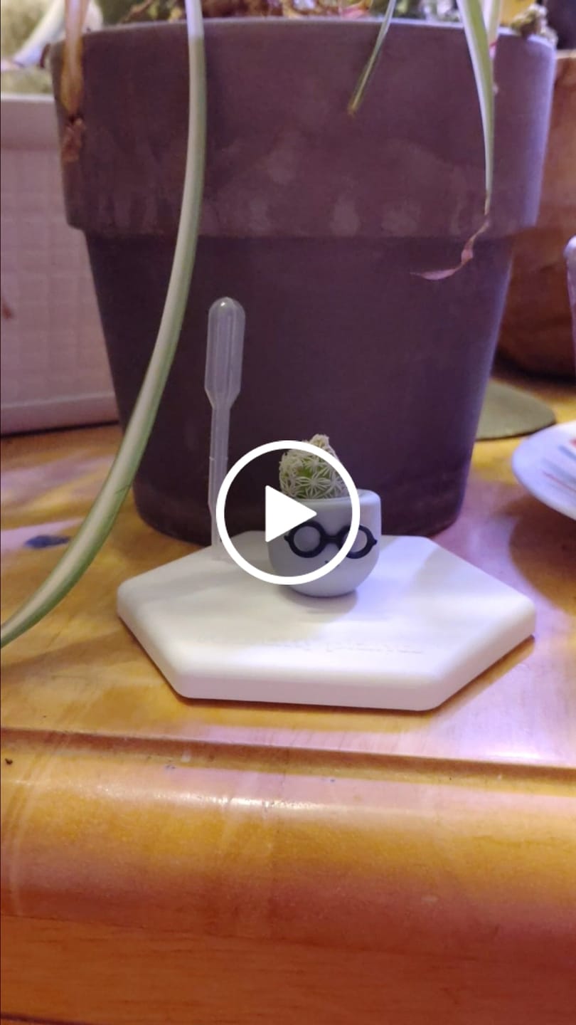 Customer video review of Smart Dad