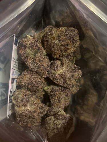 Customer photo review of Super Boof