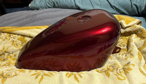 Customer photo review of Fever Dream Paint Basecoat