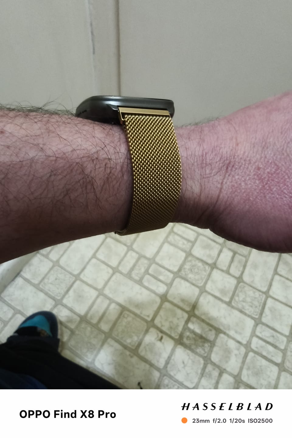 Customer photo review of Gold Milanese Loop