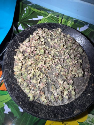 Customer photo review of Rainbow Inferno
