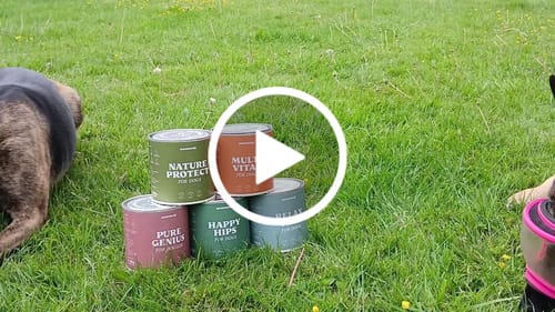 Customer video review of Multi Vital