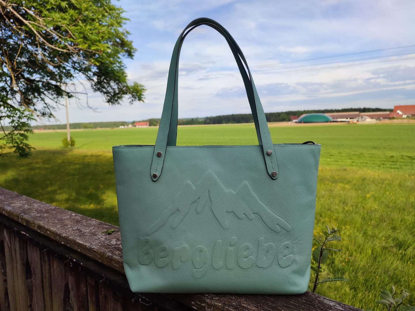 Customer photo review of DIY-Box: The Perfect Tote