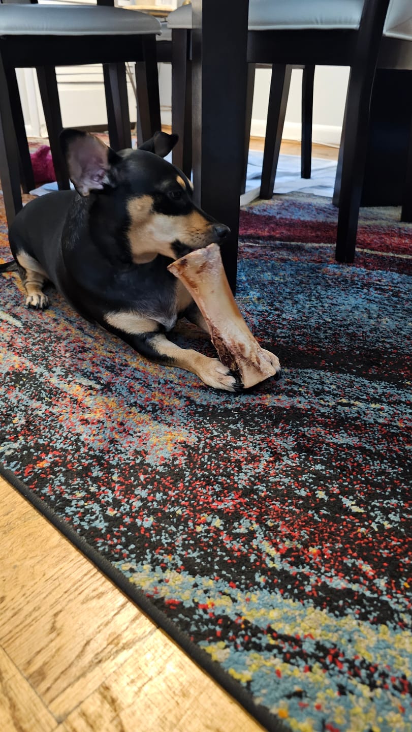 Customer photo review of Smoked Beef Marrow Bones